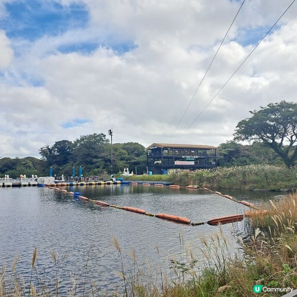 濟洲島ECOLAND森林小火車🚂涯月漢潭海邊步道長廊📸