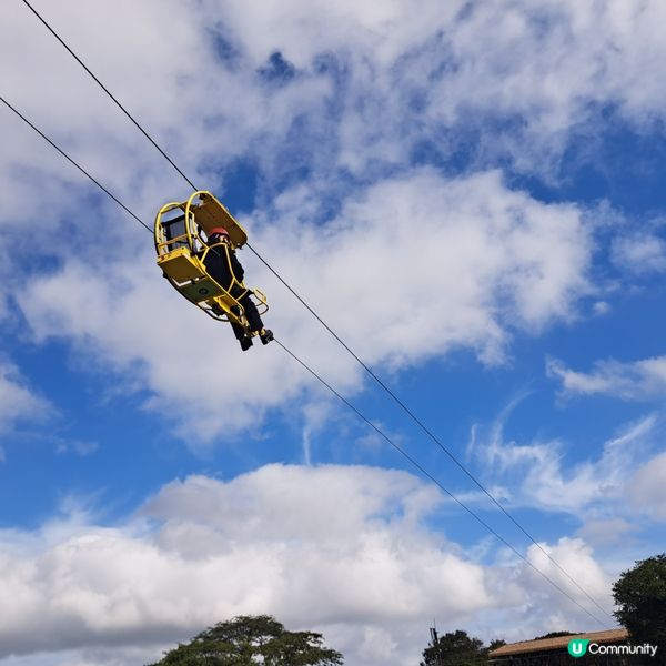 濟洲島ECOLAND森林小火車🚂涯月漢潭海邊步道長廊📸