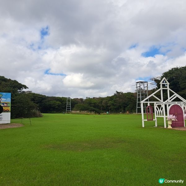 濟洲島ECOLAND森林小火車🚂涯月漢潭海邊步道長廊📸