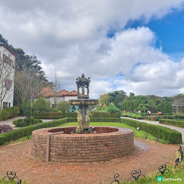 濟洲島ECOLAND森林小火車🚂涯月漢潭海邊步道長廊📸