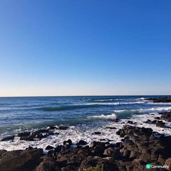 濟洲島ECOLAND森林小火車🚂涯月漢潭海邊步道長廊📸