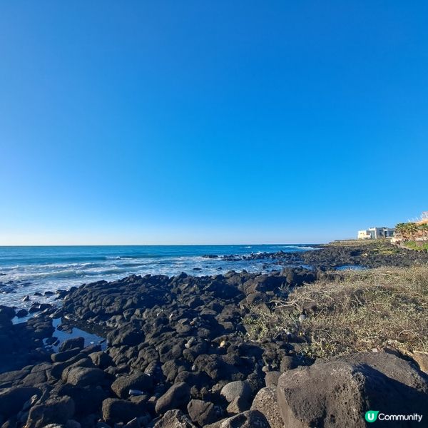 濟洲島ECOLAND森林小火車🚂涯月漢潭海邊步道長廊📸