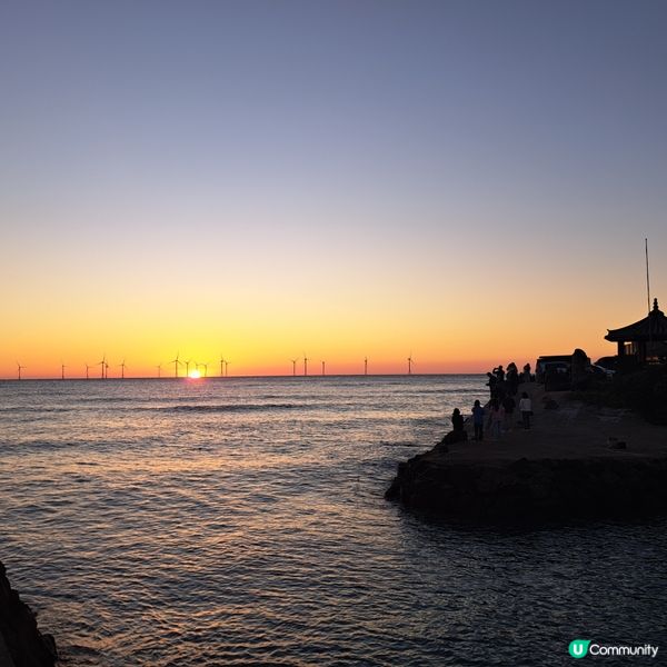 濟洲島ECOLAND森林小火車🚂涯月漢潭海邊步道長廊📸