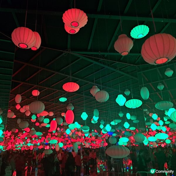 濟洲島ECOLAND森林小火車🚂涯月漢潭海邊步道長廊📸