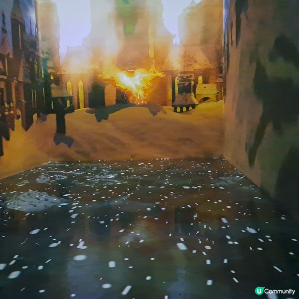 濟洲島ECOLAND森林小火車🚂涯月漢潭海邊步道長廊📸