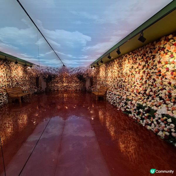 濟洲島ECOLAND森林小火車🚂涯月漢潭海邊步道長廊📸