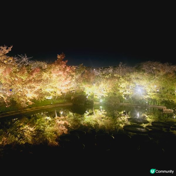 遲來的秋天🍁🍁🍁🍁🍁