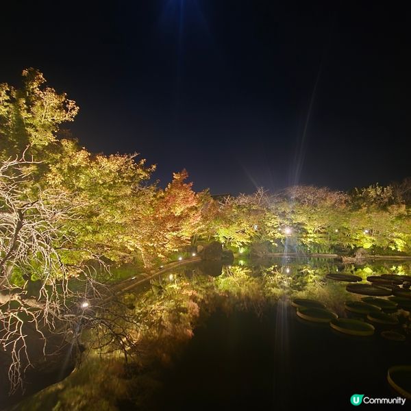 遲來的秋天🍁🍁🍁🍁🍁