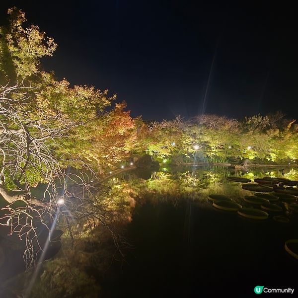 遲來的秋天🍁🍁🍁🍁🍁