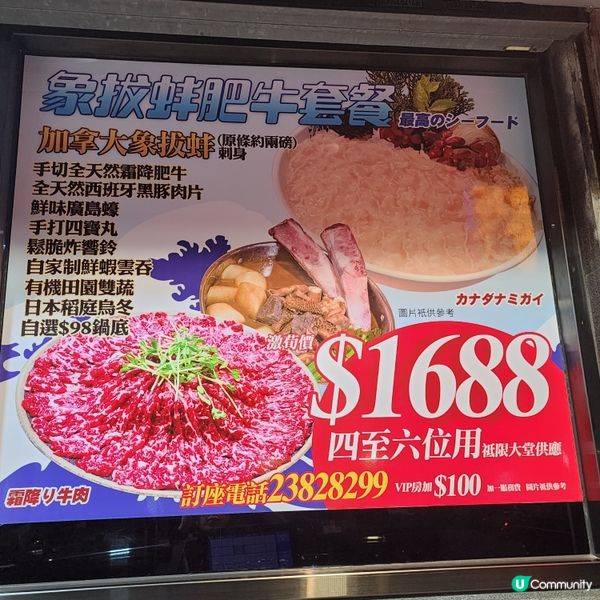 親子火鍋店❣️龍蝦刺身+龍蝦火鍋湯底正