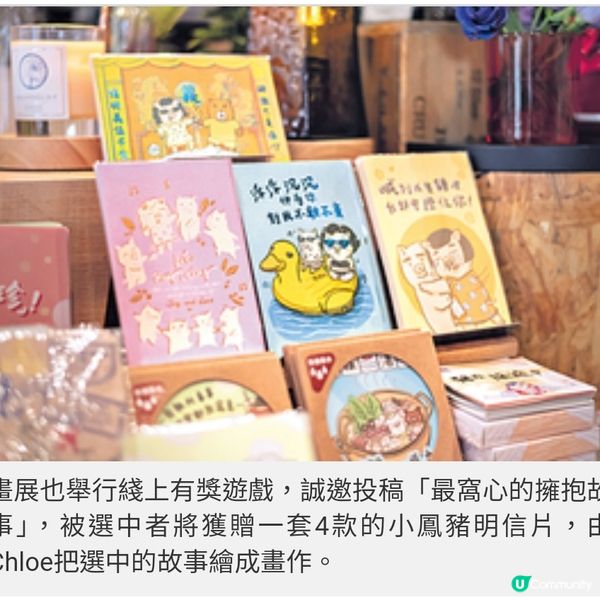 有請小鳳豬!港豬聖誕畫展 鼓勵 佳節好好擁抱