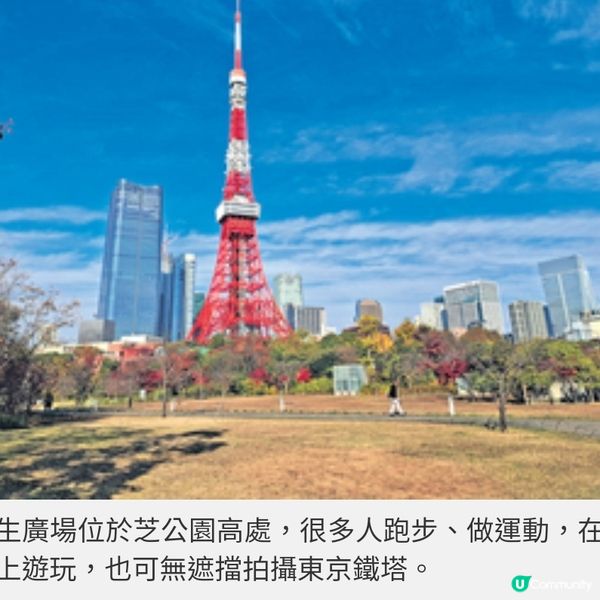 直擊國泰爾雅商務艙飛東京賞漫 天金黃銀杏 夜探秋楓