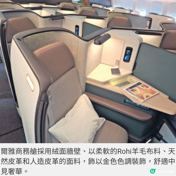 直擊國泰爾雅商務艙飛東京賞漫 天金黃銀杏 夜探秋楓