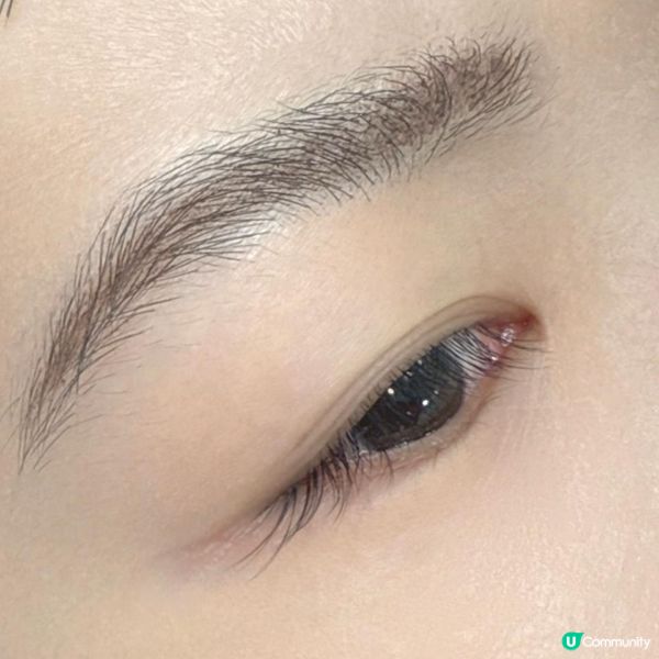 ✨扮靚靚篇｜迎接2025植眼睫毛款式｜微垂仿真｜糅合真睫毛超自然✨