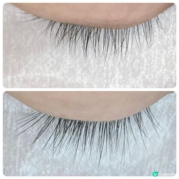 ✨扮靚靚篇｜迎接2025植眼睫毛款式｜微垂仿真｜糅合真睫毛超自然✨