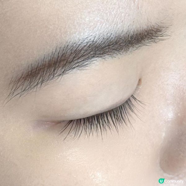 ✨扮靚靚篇｜迎接2025植眼睫毛款式｜微垂仿真｜糅合真睫毛超自然✨