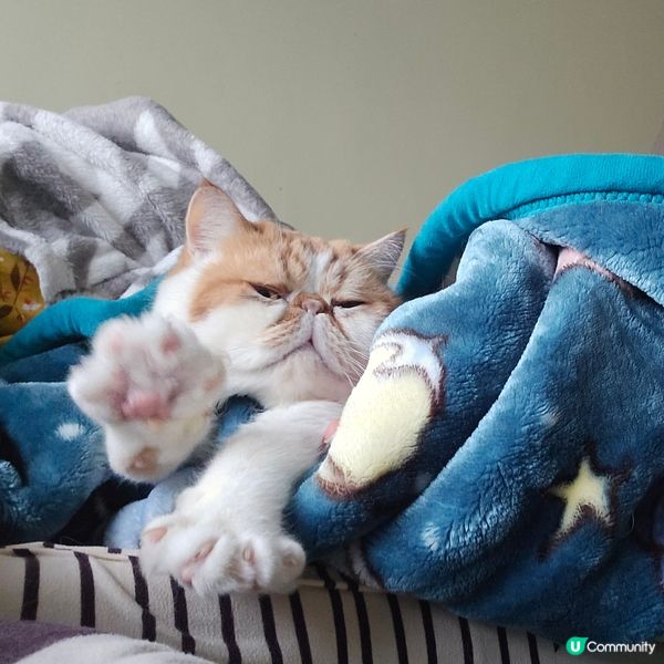 手仔開花🌸伸懶腰