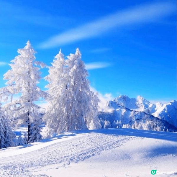 冬天係一個令人覺得好夢幻嘅季節，曾經一生人去過最靚嘅地方就係...