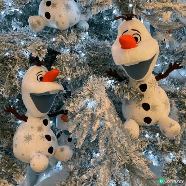 冬天係一個令人覺得好夢幻嘅季節，曾經一生人去過最靚嘅地方就係...