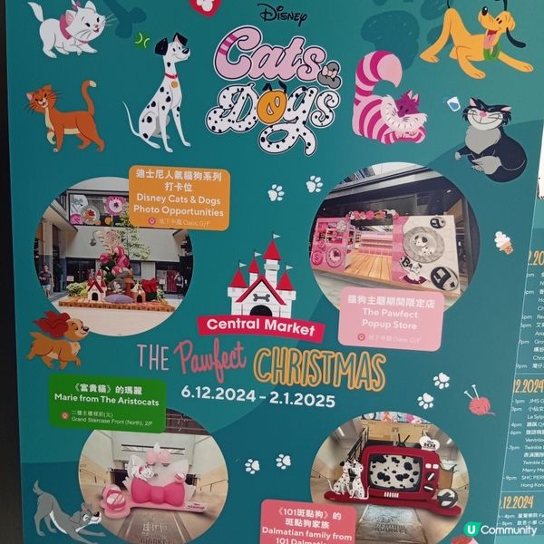 人氣迪士尼貓狗齊聚中環街市！🐶🐱🎉