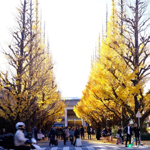 日本旅行必備🎁 免稅購物攻略🤫