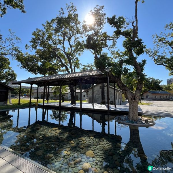 漫畫迷注意！免費看上千本漫畫+打卡