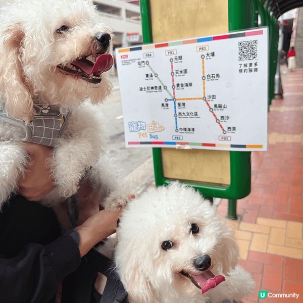 ## 🐶🐱終於坐巴士去西九啦！🤩
