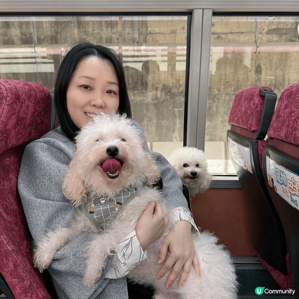 ## 🐶🐱終於坐巴士去西九啦！🤩