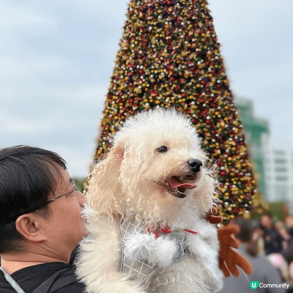 ## 🐶🐱終於坐巴士去西九啦！🤩
