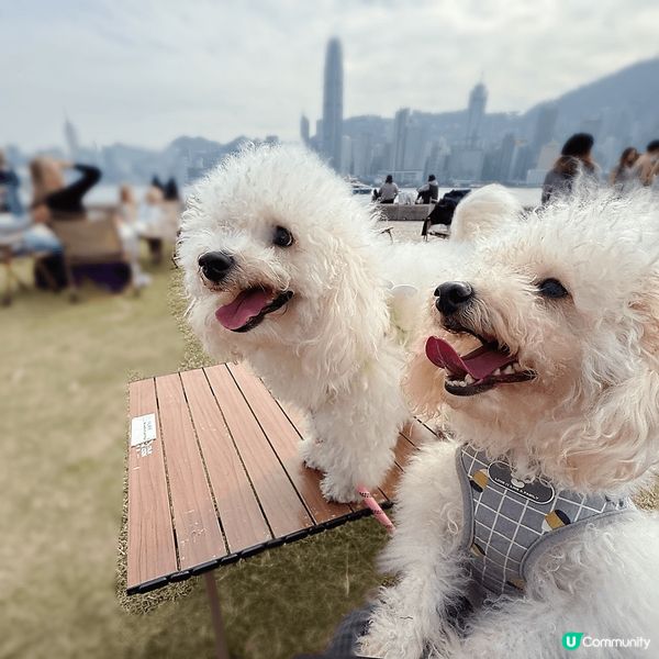 ## 🐶🐱終於坐巴士去西九啦！🤩