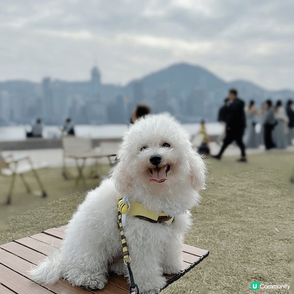 ## 🐶🐱終於坐巴士去西九啦！🤩