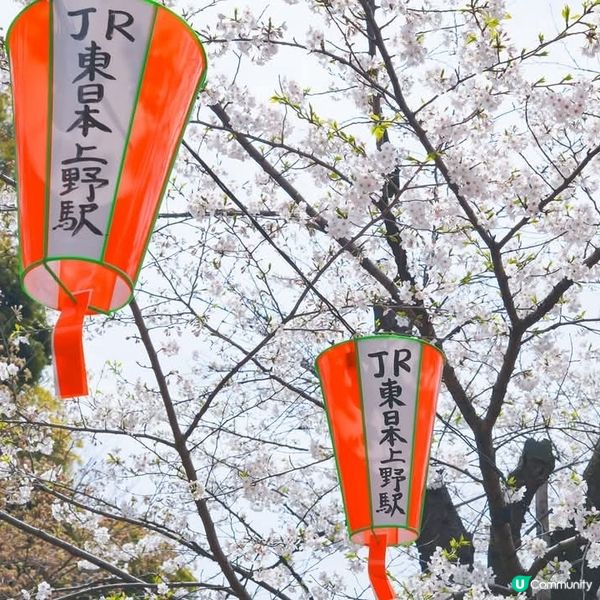  東京賞櫻🌸🌸🌸  人山人海！