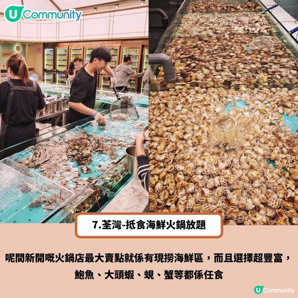 冬天必食❄️8間極高質香港火鍋店🔥竟然仲有任食活海鮮？！