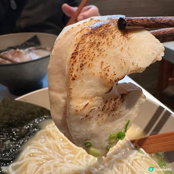 每日限定雞白湯拉麵🍜