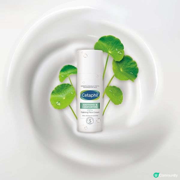 《聖誕City Date》送Cetaphil舒特膚積雪草舒敏系列💚！