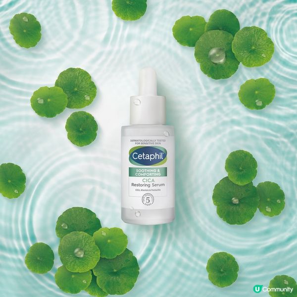 《聖誕City Date》送Cetaphil舒特膚積雪草舒敏系列💚！