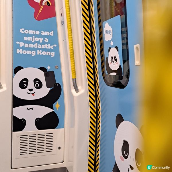 大熊貓港鐵南港島線主題列車