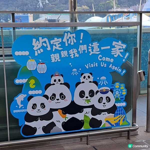 大熊貓港鐵南港島線主題列車