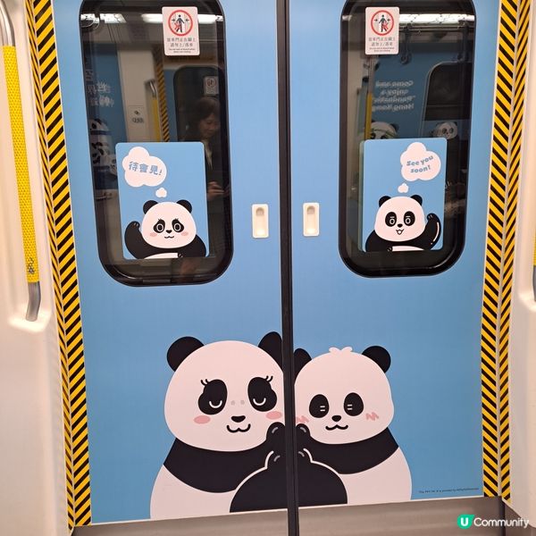 大熊貓港鐵南港島線主題列車