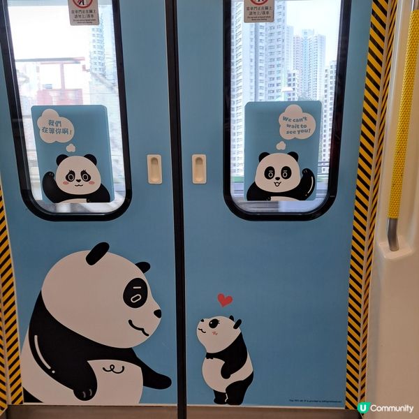 大熊貓港鐵南港島線主題列車