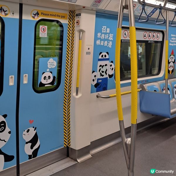大熊貓港鐵南港島線主題列車