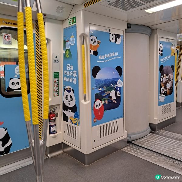 大熊貓港鐵南港島線主題列車