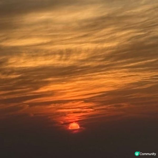 芒草無晒～得番個咸蛋黃🌞