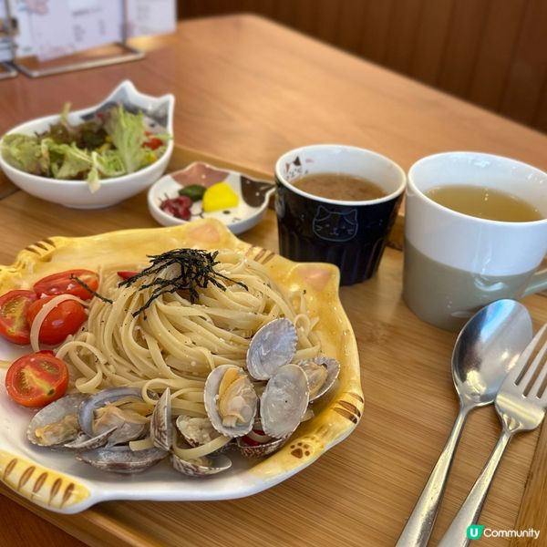 貓咪主題日式定食店