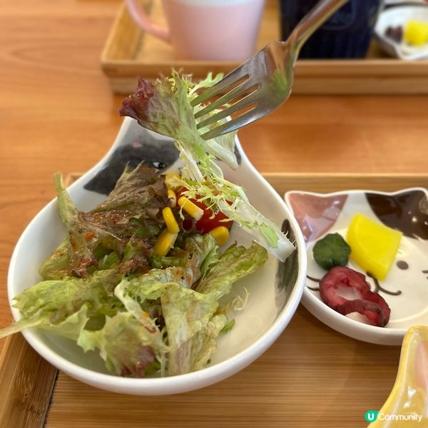 貓咪主題日式定食店