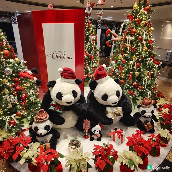 🎄🐼🎄