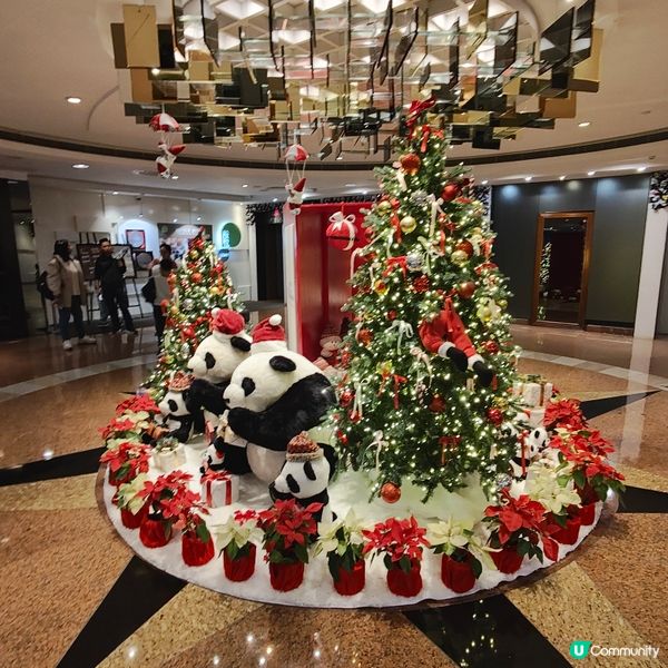 🎄🐼🎄
