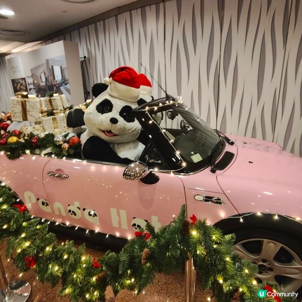 🎄🐼🎄
