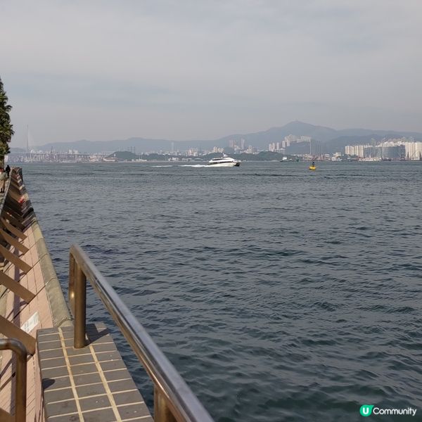 ## 香港島遊打卡必去🔥港澳碼頭超靚維多利亞港景色📸💜