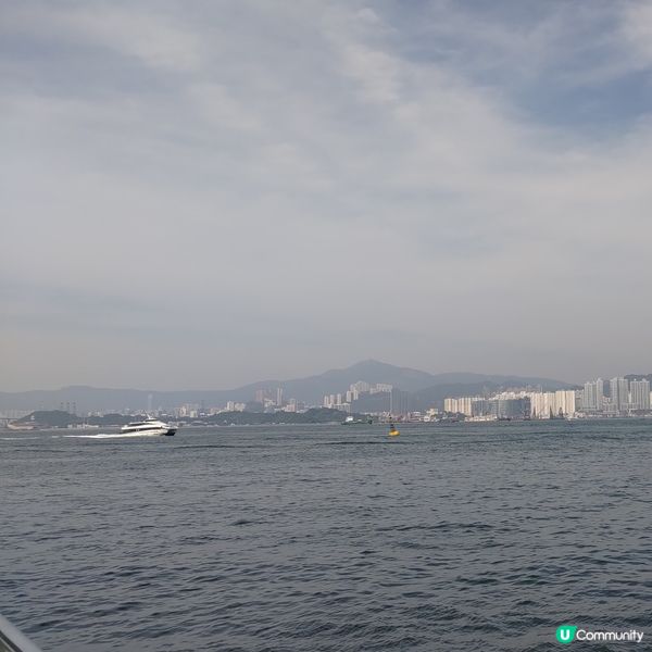 ## 香港島遊打卡必去🔥港澳碼頭超靚維多利亞港景色📸💜